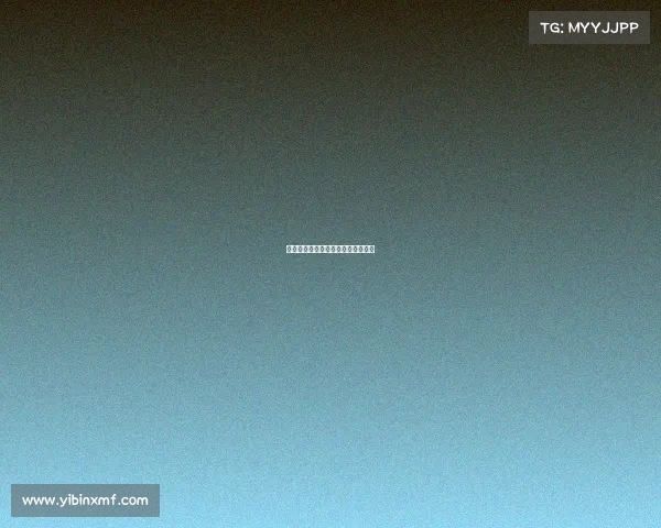 湖人队回归巅峰，赛季表现令人期待