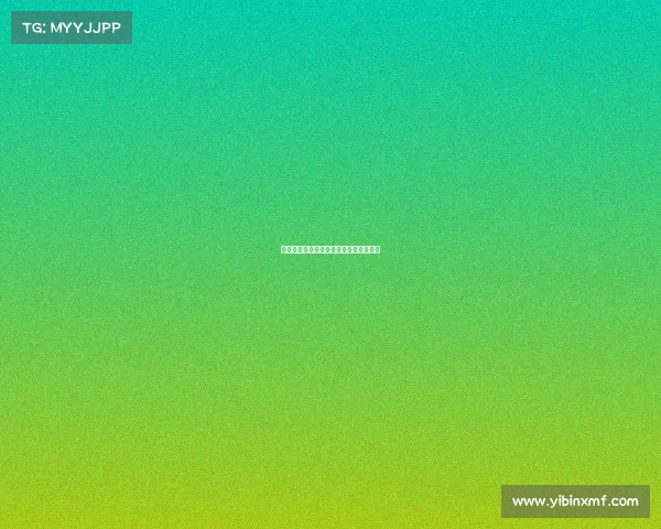 足球名将国际赛场之路：传奇与未来并行